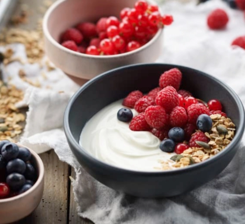 YOGUR NATURAL EN THERMOMIX