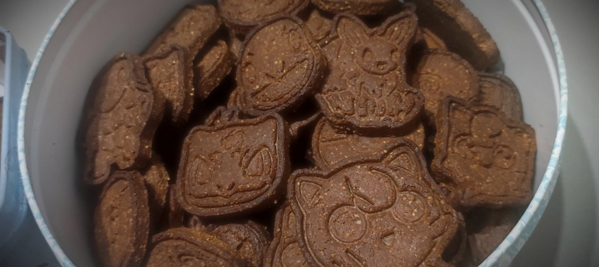 GALLETAS DE NARANJA Y CHOCOLATE