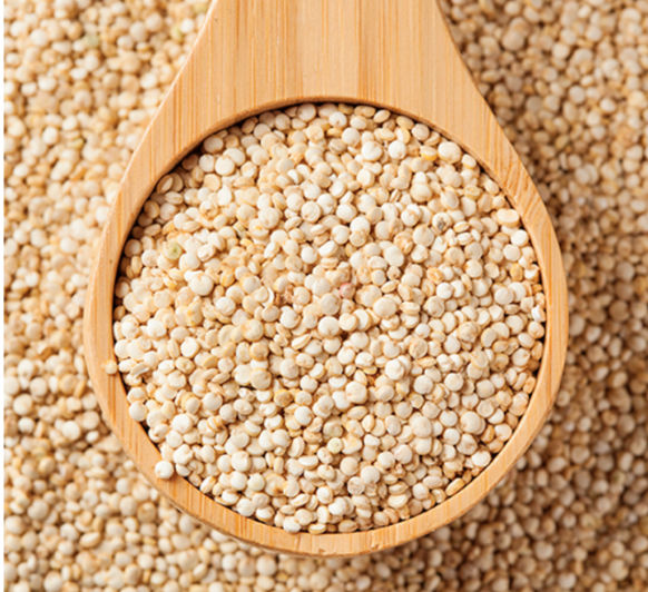 Recetas de Quinoa - Compra Thermomix y cocina fácil los superalimentos.